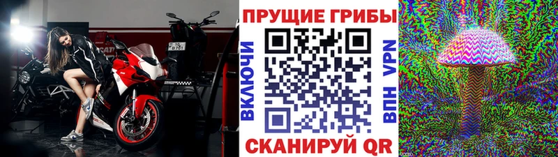 Псилоцибиновые грибы GOLDEN TEACHER Гулькевичи