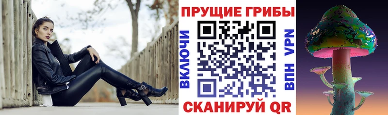 Купить Гулькевичи Псилоцибиновые грибы Psilocybe